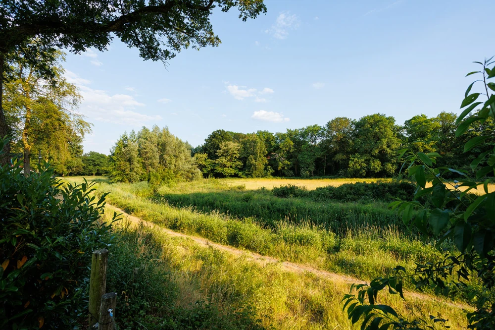 Omgeving 't Veens Huuske Het Witte Veen